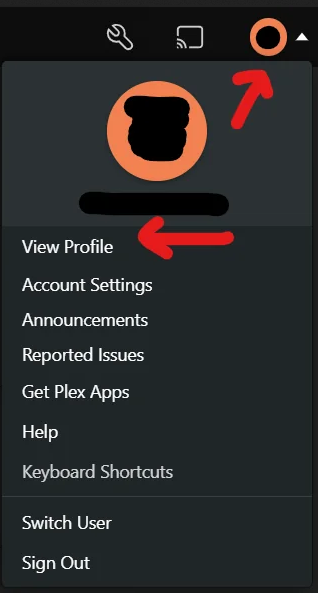 Plex Disable Discover 1